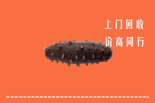 重庆市合川回收海参