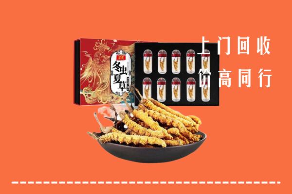 重庆市合川回收虫草